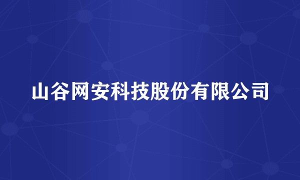 山谷网安科技股份有限公司