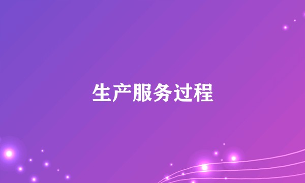 生产服务过程