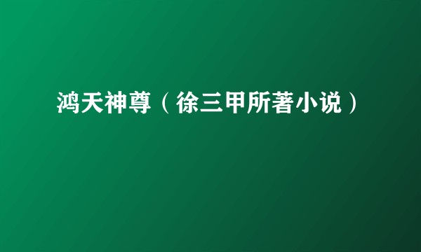 鸿天神尊（徐三甲所著小说）