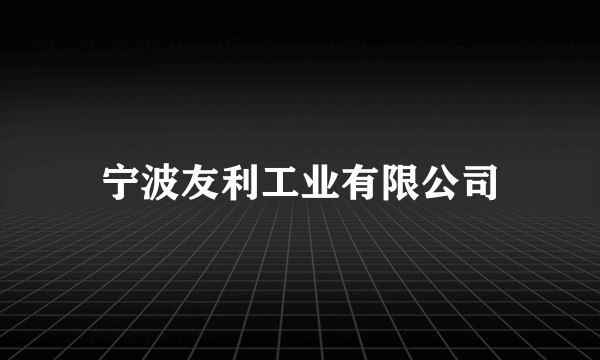 宁波友利工业有限公司