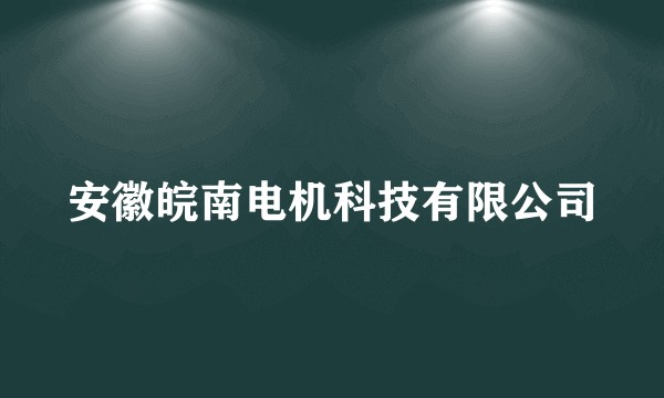 安徽皖南电机科技有限公司