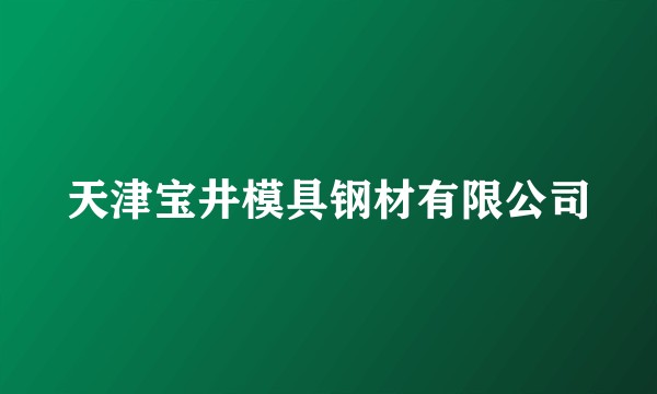 天津宝井模具钢材有限公司