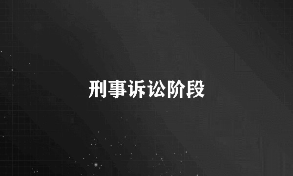 刑事诉讼阶段