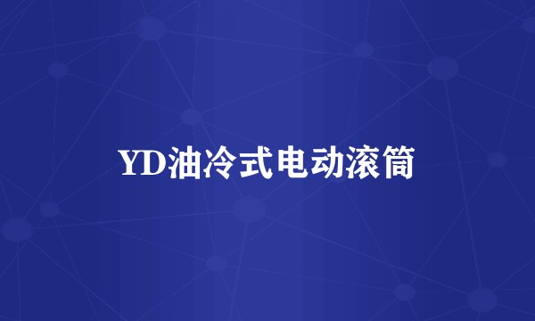 YD油冷式电动滚筒