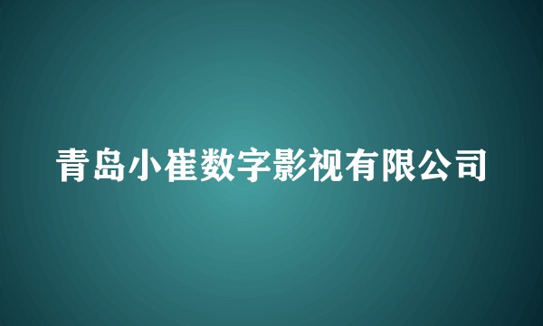 青岛小崔数字影视有限公司