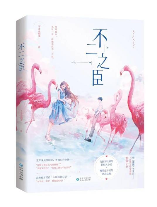 不二之臣（不止是颗菜创作的网络小说）