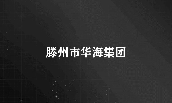 滕州市华海集团