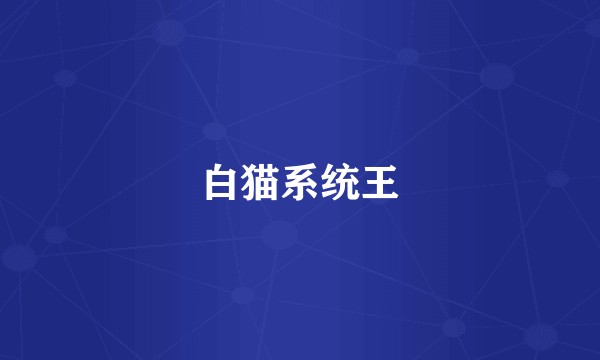 白猫系统王
