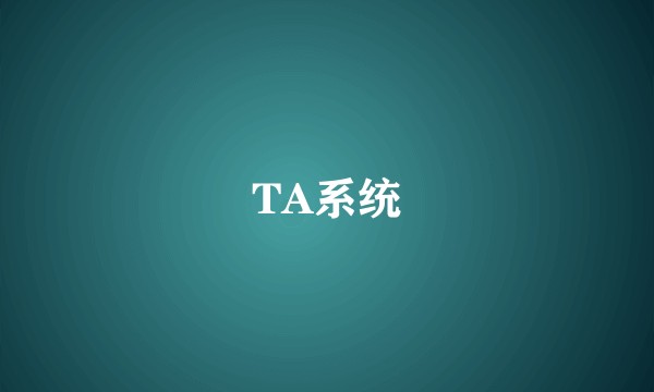TA系统