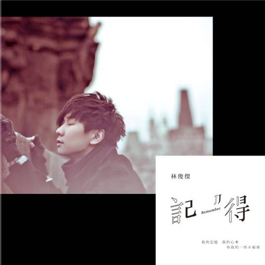 记得(2012年湖南文艺出版社出版的图书)
