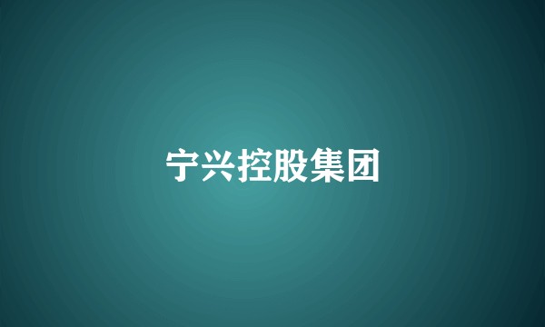 宁兴控股集团