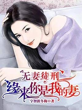 无妻徒刑：缘来你是我的妻