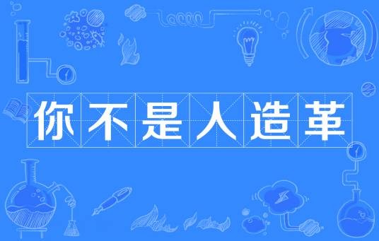 你不是人造革