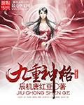 九重神格（辰机唐红豆的网络小说）