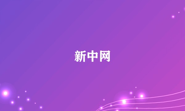 新中网