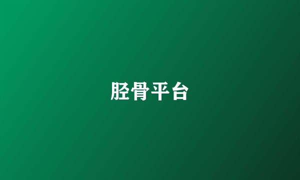 胫骨平台