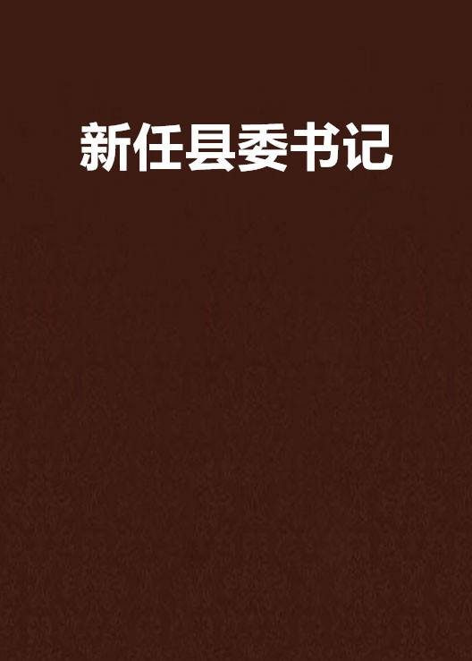 新任县委书记(小说名称)