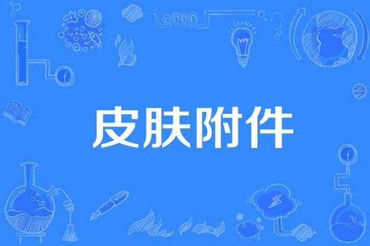 皮肤附件
