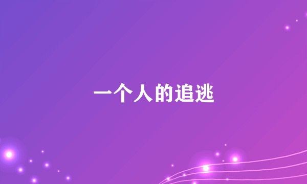 一个人的追逃