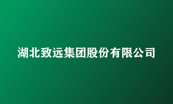 湖北致远集团股份有限公司