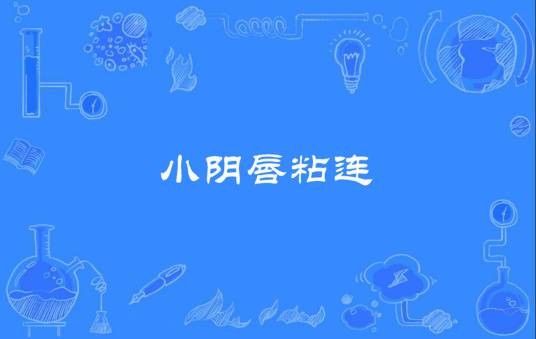 小阴唇粘连