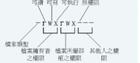 只写