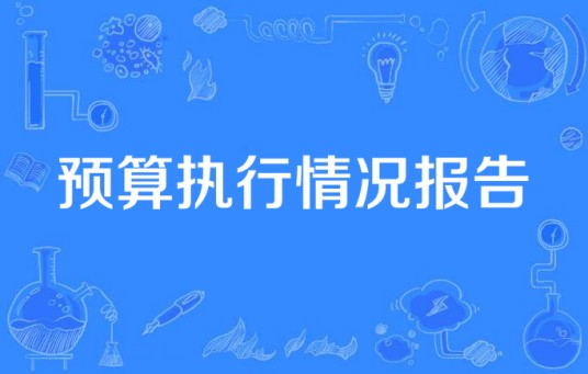 预算执行情况报告
