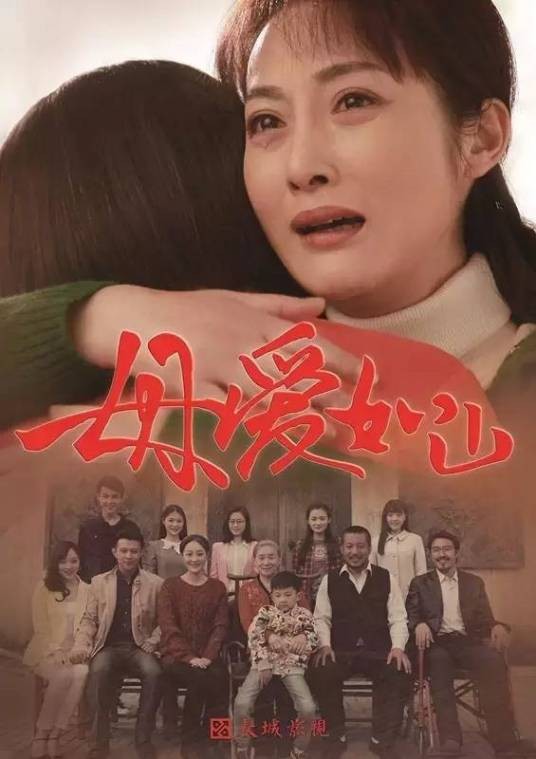 母爱如山（雷子执导的都市情感电视剧）