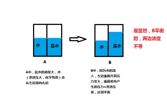高渗透压作用