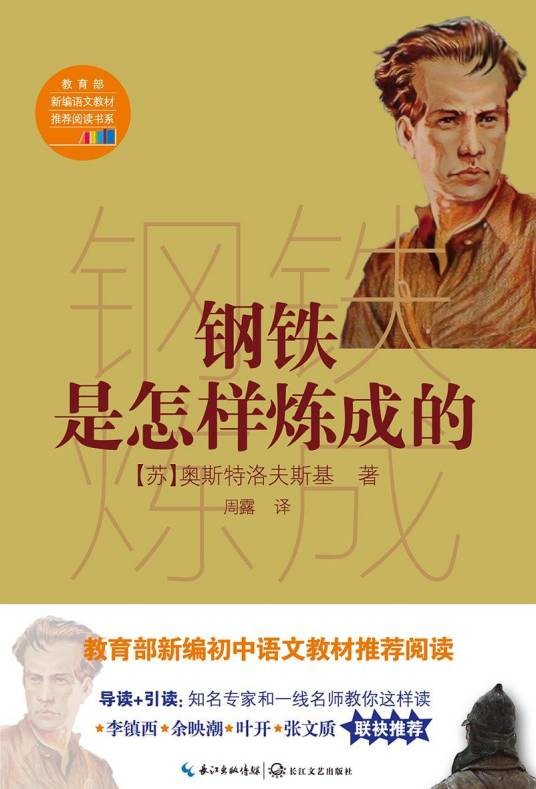 钢铁是怎样炼成的(2017年长江文艺出版社出版的图书)