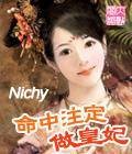 命中注定做皇妃(网络小说)