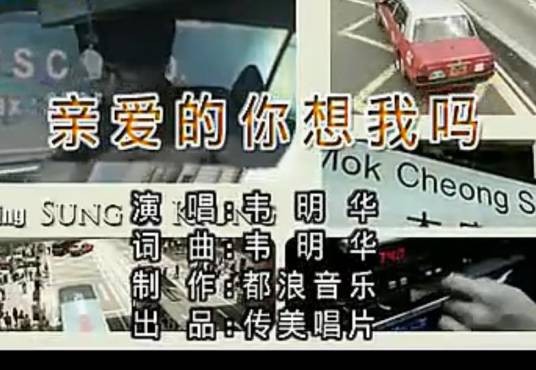 亲爱的你想我吗(韦明华演唱的歌曲)
