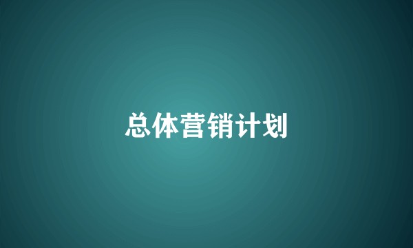 总体营销计划