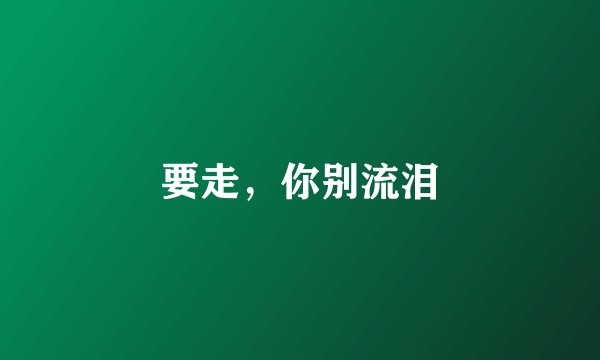 要走，你别流泪