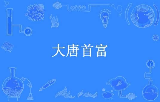大唐首富（会飞的皮皮虾所著小说）