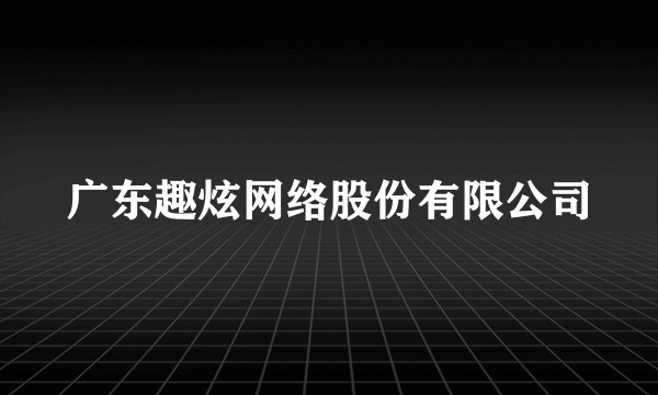 广东趣炫网络股份有限公司