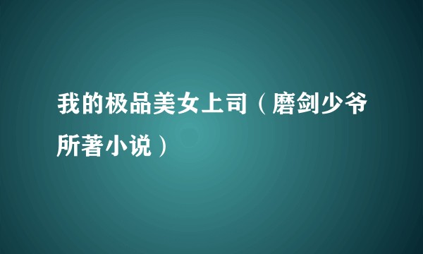 我的极品美女上司（磨剑少爷所著小说）