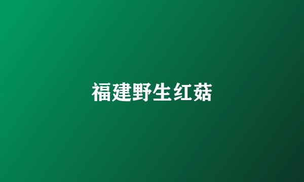 福建野生红菇