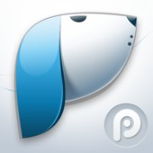 pp浏览器