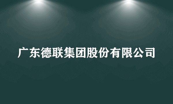 广东德联集团股份有限公司