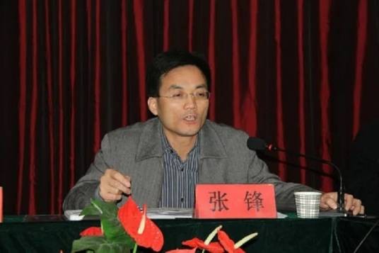 张锋（陕西省渭南市蒲城县人民政府原副县长）
