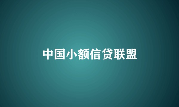 中国小额信贷联盟
