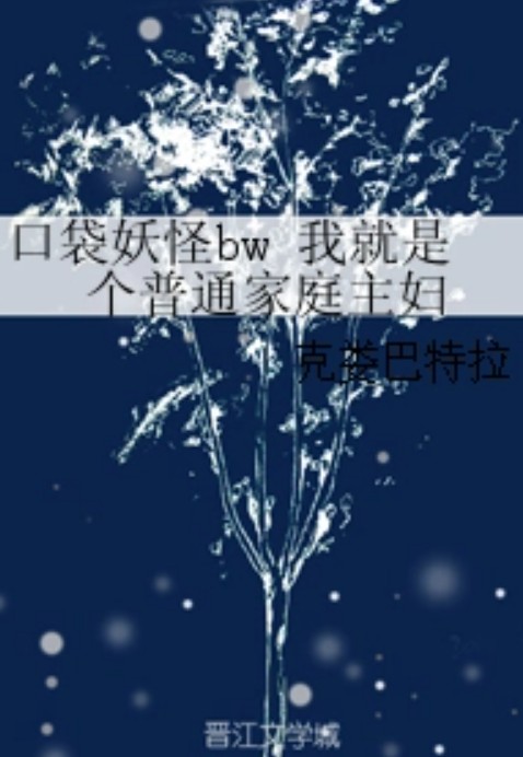 口袋妖怪bw 我就是个普通家庭主妇