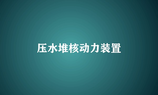 压水堆核动力装置