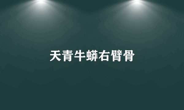 天青牛蟒右臂骨