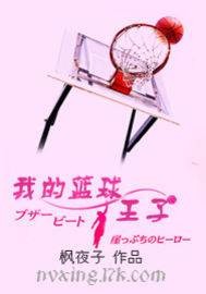 我的篮球王子