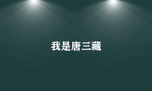 我是唐三藏