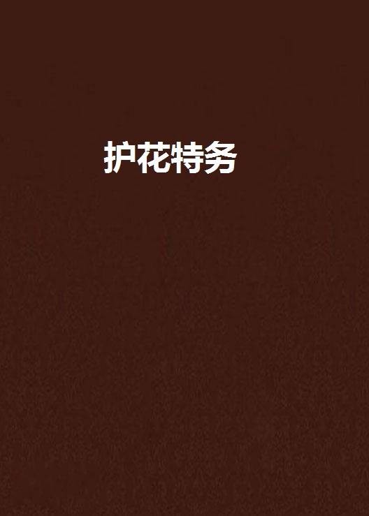 护花特务