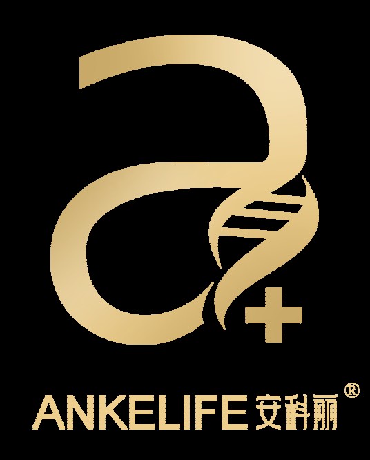 安科丽