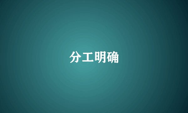 分工明确